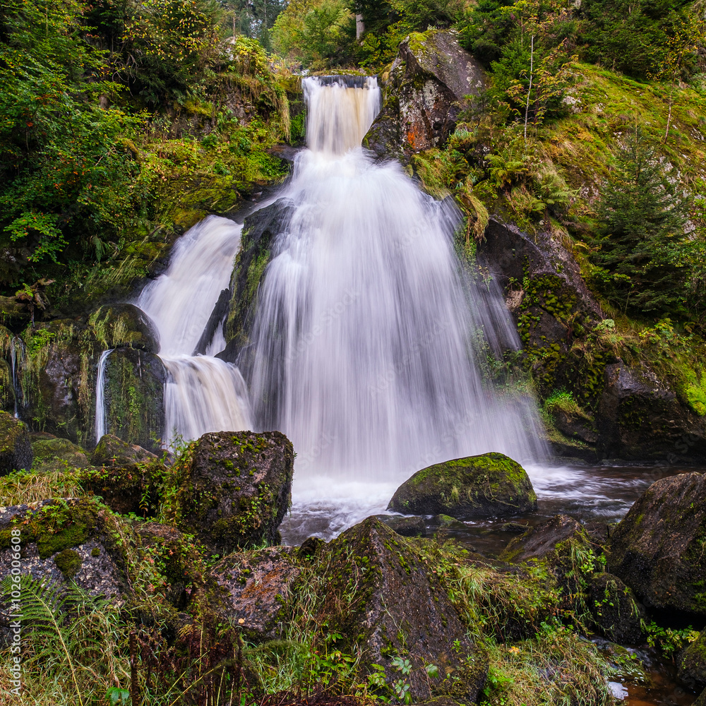 Fototapeta premium Triberger Wasserfall, Schwarzwald