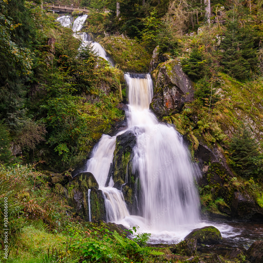Naklejka premium Triberger Wasserfall, Schwarzwald