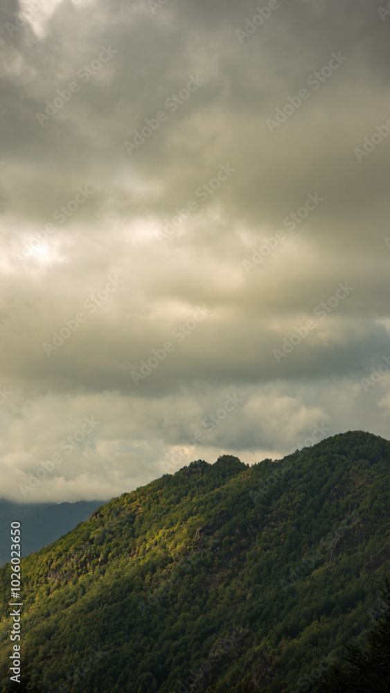 Forested valley under cloudy sky, Erbaa, Tokat, Turkey