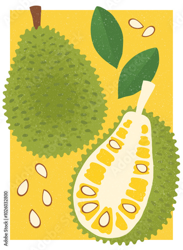 Jackfruit vector hand-made vintage illustration