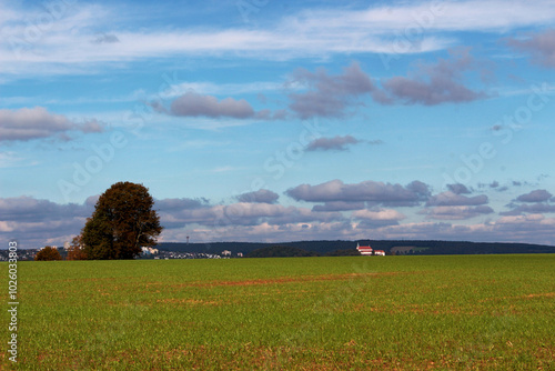 Image of a sown field in early autumn against the backdrop of the city.