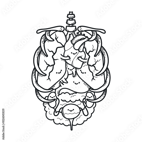 Cartoon-style human abdominal organs with smiling faces, great for digestive system education