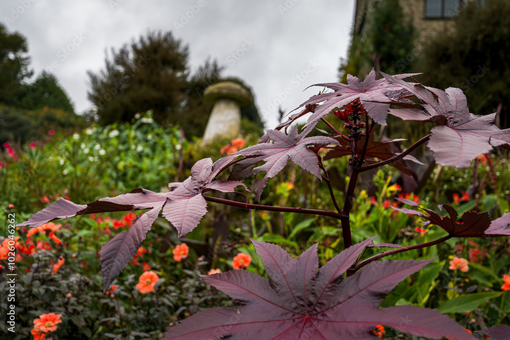 Obraz premium Coleton Fishacre gardens