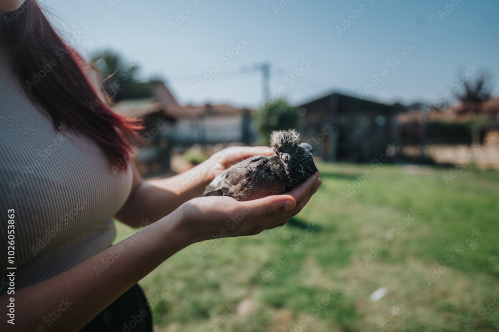 Close-up of a woman holding a tiny bird in her hands, showcasing care and tenderness in a peaceful backyard setting. Close-up of a woman holding a tiny bird in her hands, showcasing care and tenderness in a peaceful backyard setting.