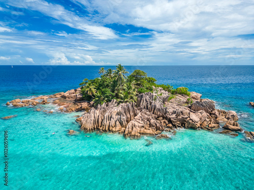 Chauve Souris Relais Praslin Seychelles