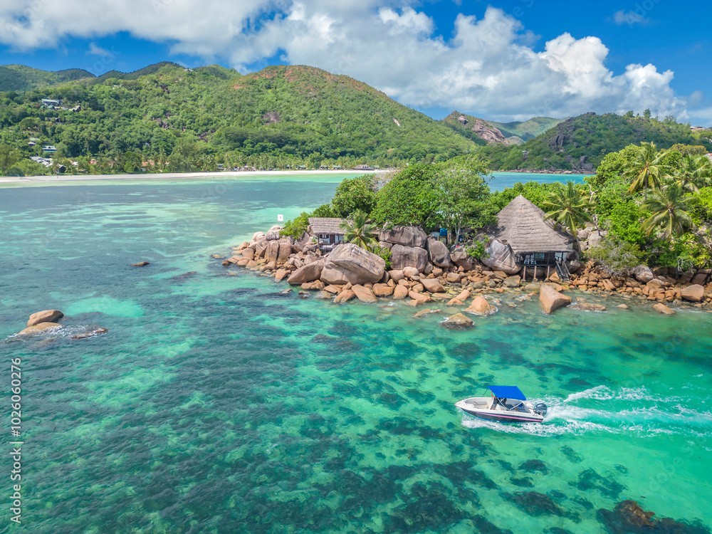 Obraz premium Chauve Souris Relais Praslin Seychelles