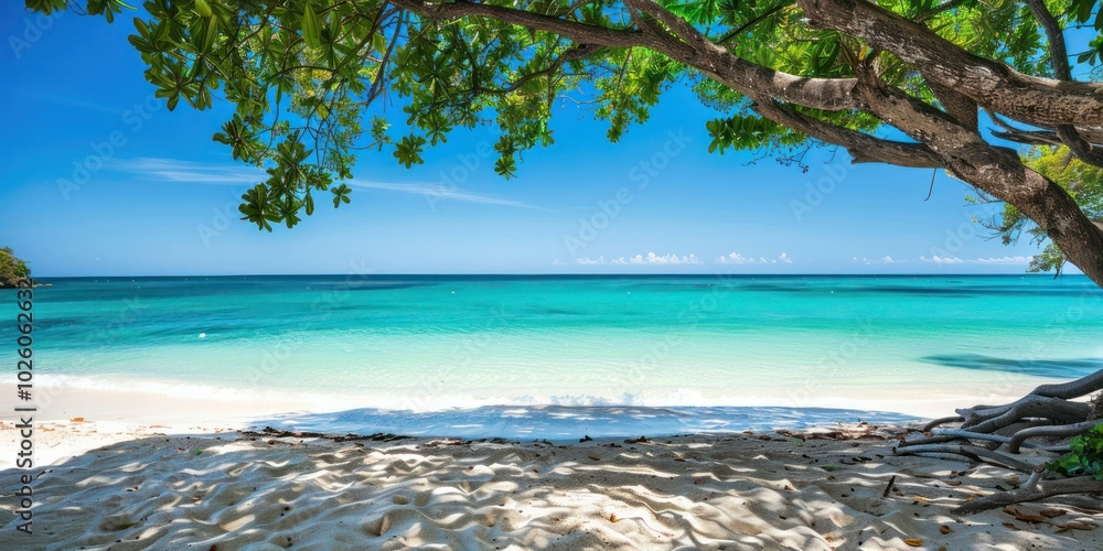 Idyllic beach view with white sand and turquoise water. Idyllic beach view with white sand and turquoise water.