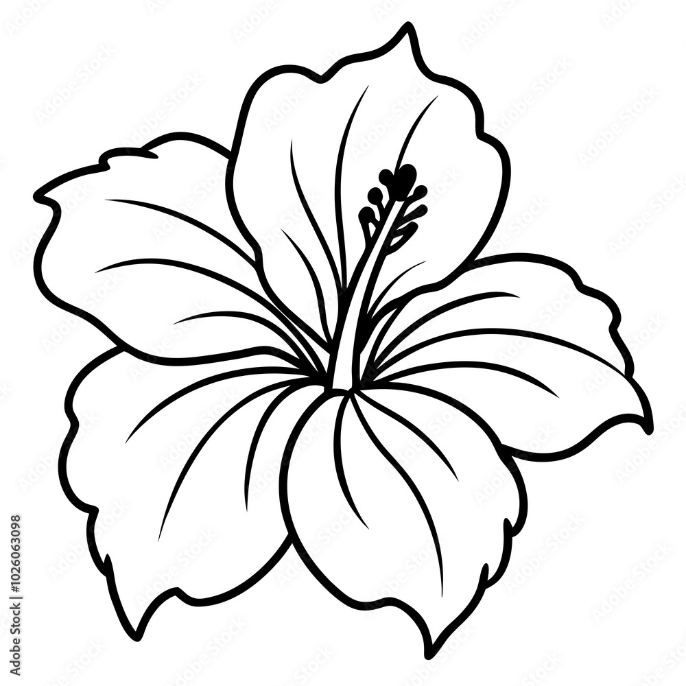 Hibiscus flower line art on white background Hibiscus flower line art on white background