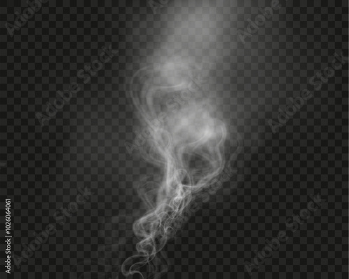 White smoke, vape, fog, smog. Illustration of smoke on a transparent background.	

