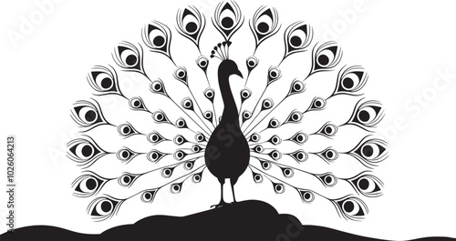 Peacock Silhouette Smooth Elements Design, any colorful change the Peacock Vector Illustration