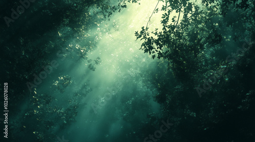 Sunlight filtering through dense forest canopy with misty atmosphere