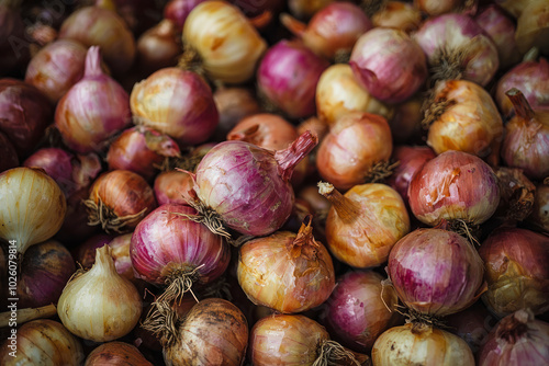 A pile of shallots with some of them being rotten. The shallots are all different sizes and colors.