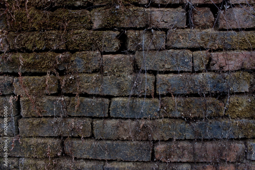 Old Brick Wall with Moss and Natural Decay Details Old Brick Wall with Moss and Natural Decay Details
