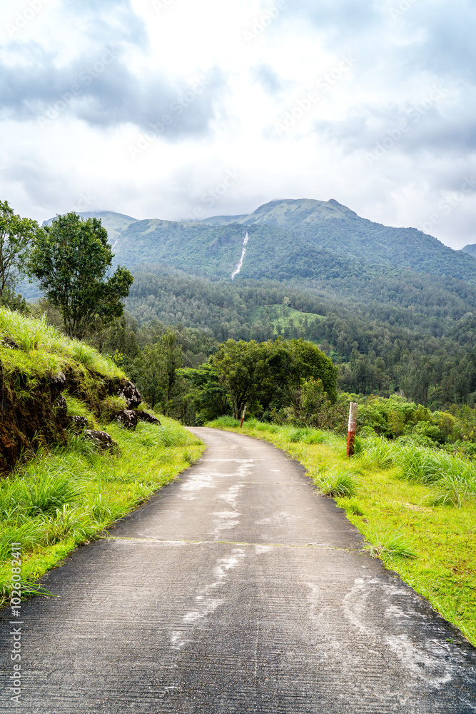 Obraz premium Yellamalai from Gudalur, Tamil Nadu - A Plantation Village in Tamil Nadu Neelagiri District.