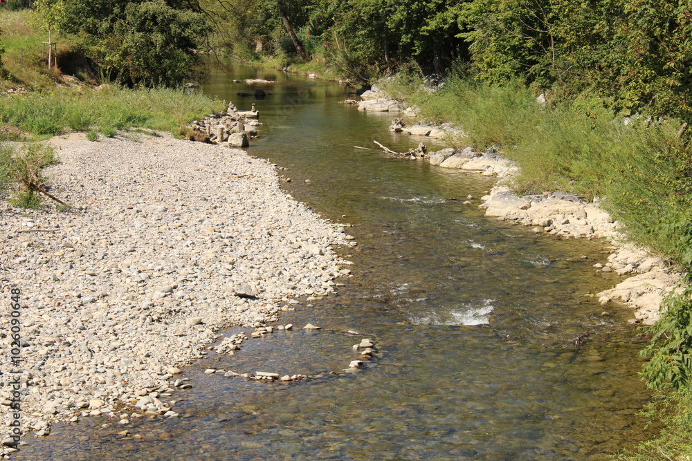 Stony riverbed in the green Stony riverbed in the green