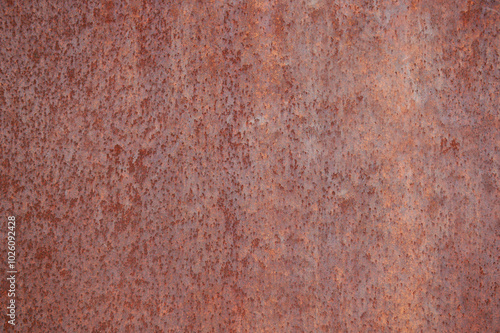 Wallpaper Mural iron oxide texture on a metal plate Torontodigital.ca