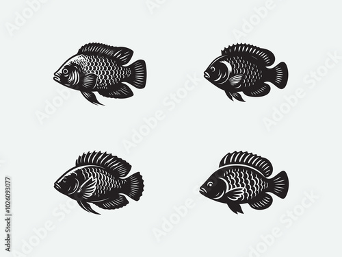 Simple silhouette Tilapia fish logo icon vector black color SET.