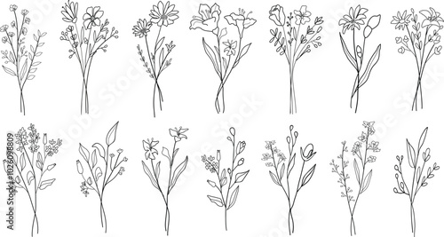 Set of different line art wildflower bouquets. Hand drawn botanical vector set. Trendy floral illustration set of wildflower.