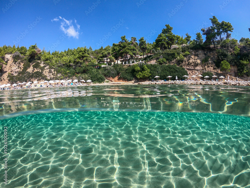 Obraz premium alonissos island, greece underwater