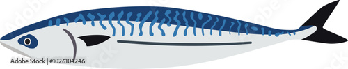 Mackerel
