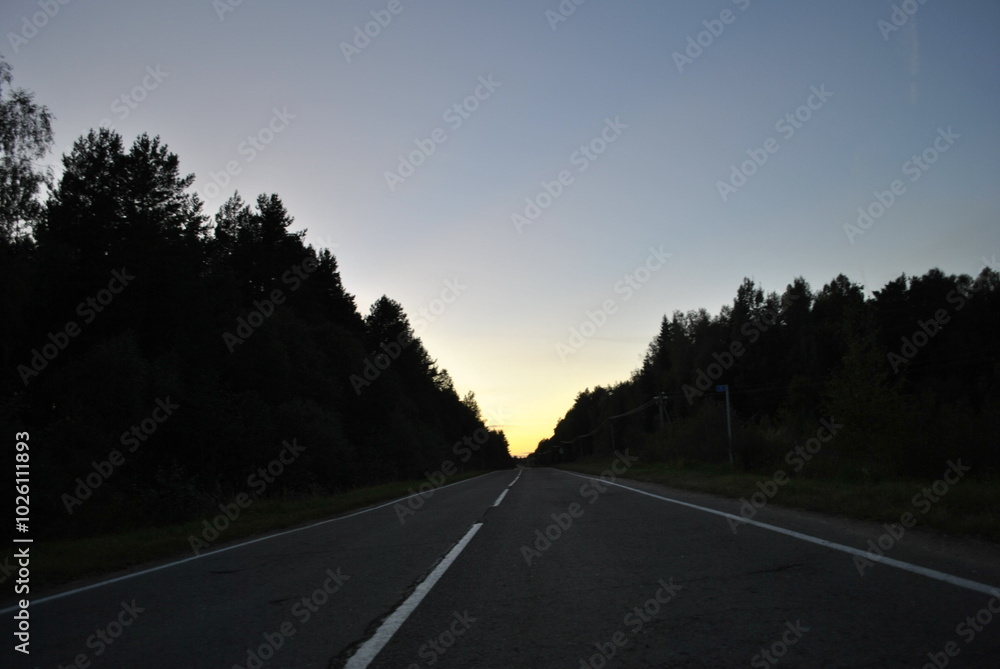 road to the forest road to the forest