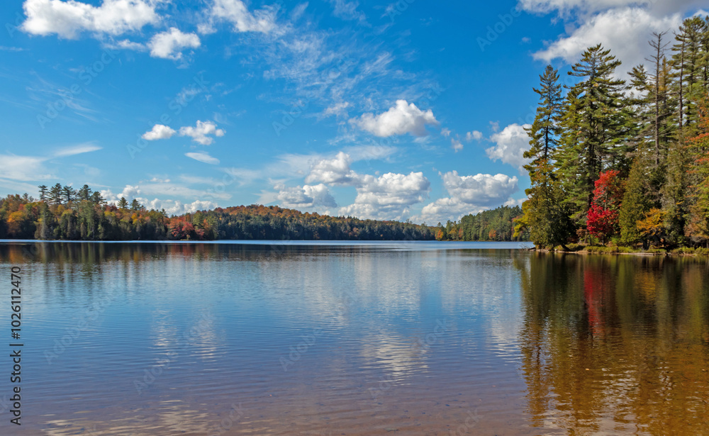 Fototapeta premium Adirondack pond in St Regis Canoe Wilderness Area with peak fall foliage on a peaceful calm morning