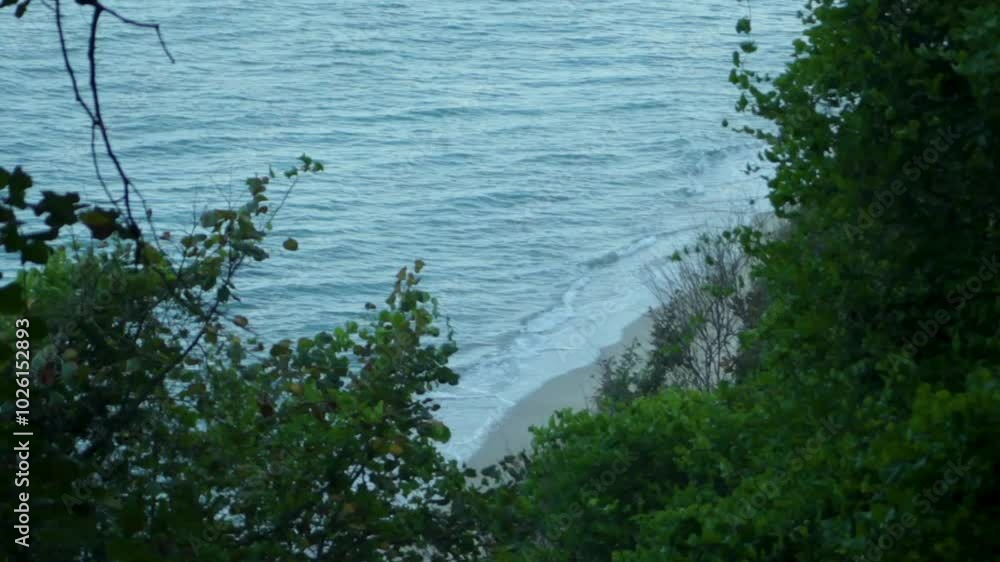 Sea view through the greenery. The waves wash up on the sandy beach. Sea view through the greenery. The waves wash up on the sandy beach.