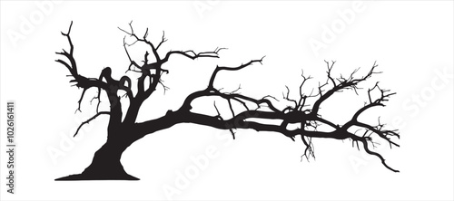 Dead tree hand drawn illustration 