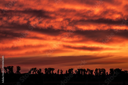 Sunset with bright fantastic clouds over the silhouette of trees.