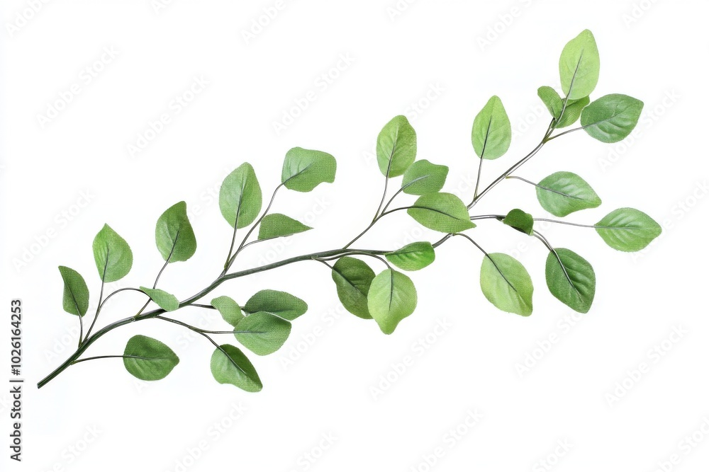 tree branch green leaves tree branch green leaves