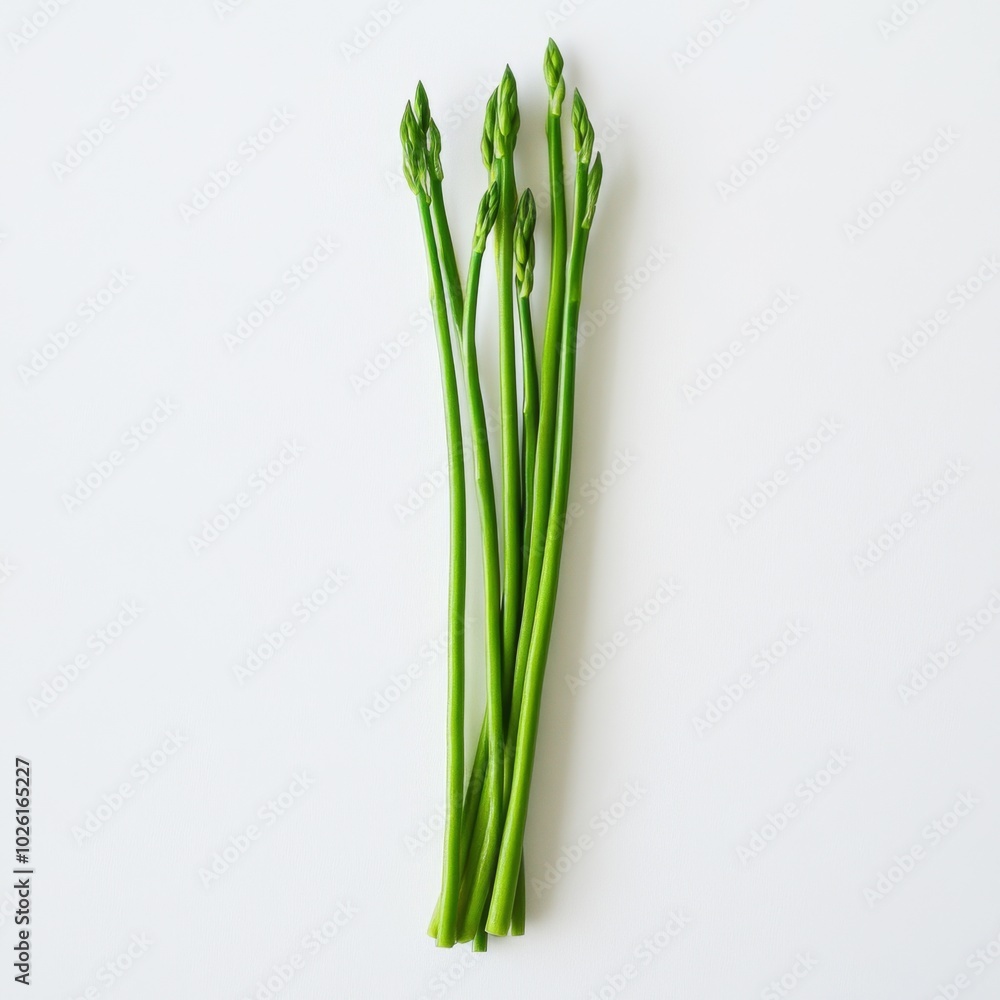 Fototapeta premium Asparagus