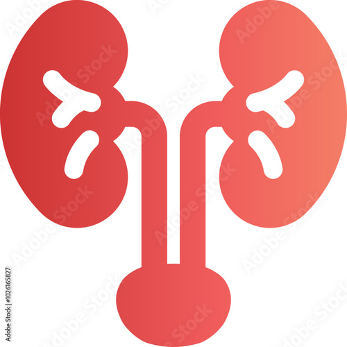 Kidney