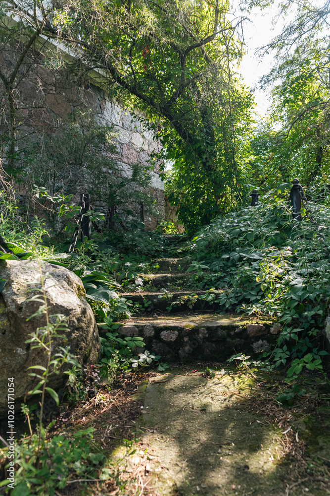 Stone archway leading to a hidden pathway within a lush green garden. The stonework of the archway is weathered and worn, suggesting a long history. The pathway is lined with stone steps. Stone archway leading to a hidden pathway within a lush green garden. The stonework of the archway is weathered and worn, suggesting a long history. The pathway is lined with stone steps.