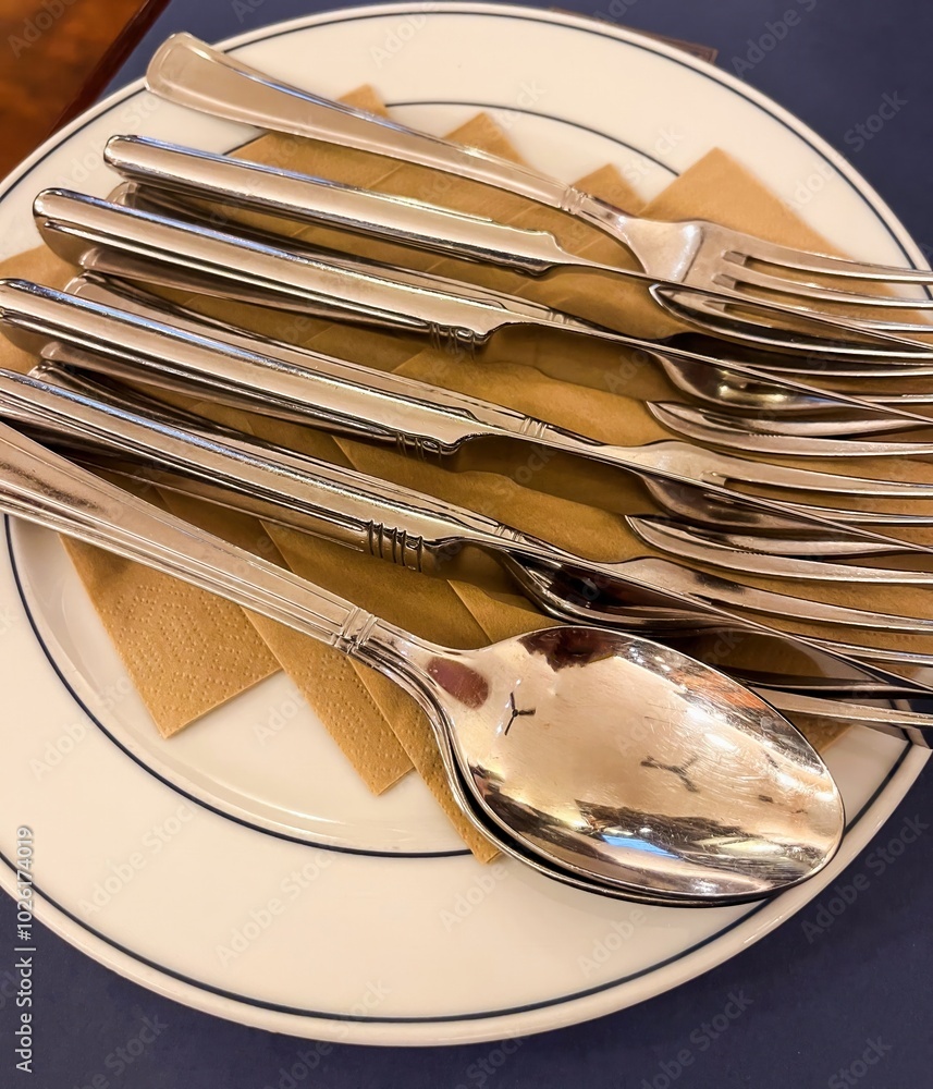 Knives and forks are lying on a white plate on the table