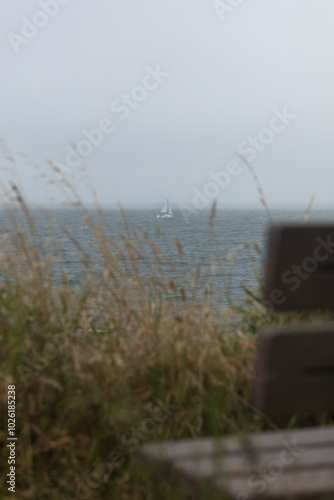 Ocean view from the coast on an overcast day. In the distance the ocean, in the foreground part of a blurred bank and tall grass.