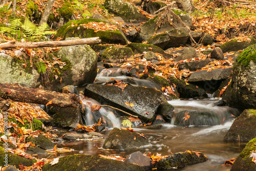 Brook tumbling over moss covered rocks in northeastern Vermont shortly after peak fall foliage
