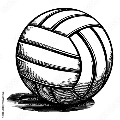 Volleyball Classic Detailed Black and White Outline Line Art Drawing with Shadow Element Included