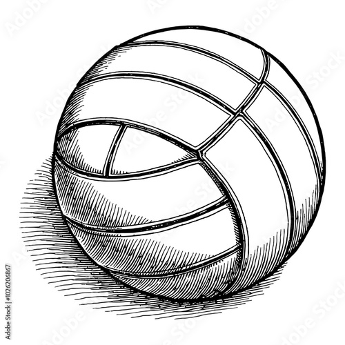 Volleyball in Classic Detailed Black and White Outline Line Art Drawing Viewed from an Angle