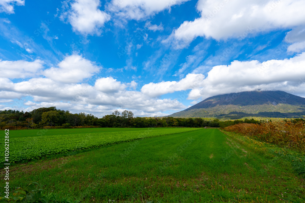 北海道の道路の風景 羊蹄山方面 北海道の道路の風景 羊蹄山方面