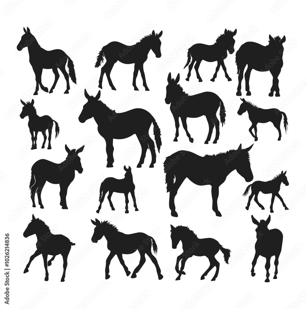 Obraz premium Illustration donkey silhouettes Vector