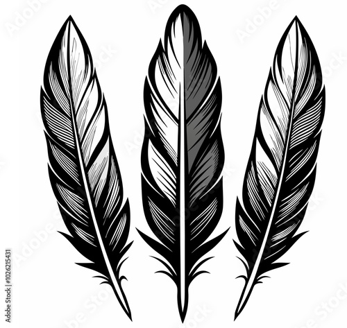 set of a stationary writing bird feather and ink pen close-up vector, a silhouette of a bird feather ink quill pen writing curves, and an icon.