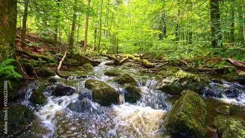 idyllischer Wildwasserbach im grünen lichtdurchflutetem märchenhaftem Wald mit moosbedeckten Felsen, Bäume, Pflanzen, Sonnenlicht, Erholung, Landschaft, wandern, Idylle
