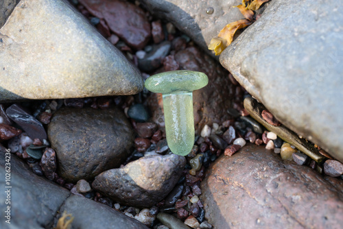 Wallpaper Mural Sea Glass Bottle Topper Torontodigital.ca