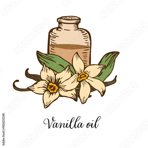 Vanilla Flower with Sticks and jar with oil sketch set. Vector hand drawn illustration of orchid Flower and pods.
