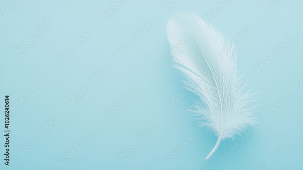 feather on a plain light blue background, soft focus, , minimalist design, perfect for calming visuals and nature-related content. feather on a plain light blue background, soft focus, , minimalist design, perfect for calming visuals and nature-related content.