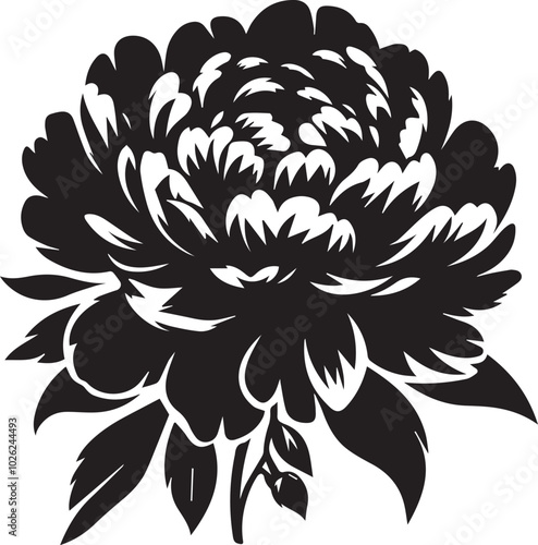 Peony flower silhouette black vector