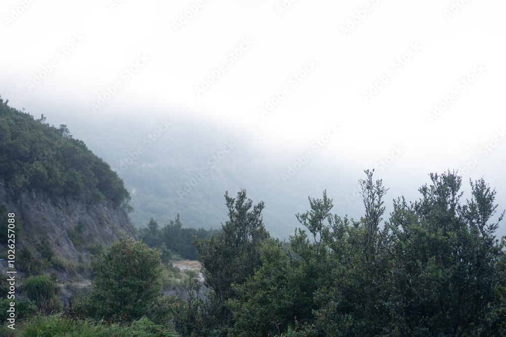 beautiful views of mountain forest areas filled with mist beautiful views of mountain forest areas filled with mist