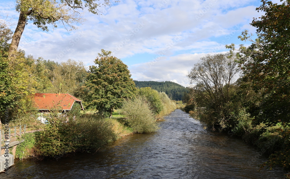 Dreisam in Freiburg im Herbst Dreisam in Freiburg im Herbst