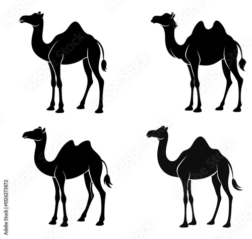 Vector illustration of camel silhouettes in various poses and positions. Arabian camels are depicted as standing or walking in an outline and icon set.