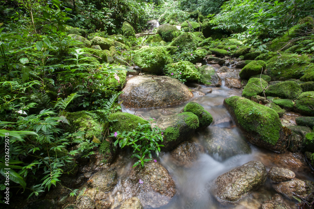 Waterfall in deep forest in front of stone Waterfall in deep forest in front of stone